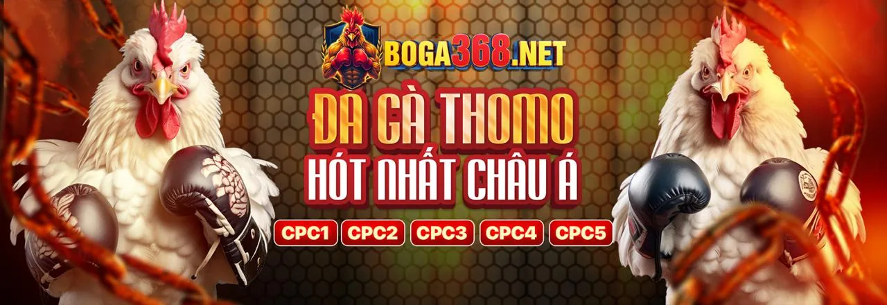 Đá gà jn88 win trực tuyến hấp dẫn